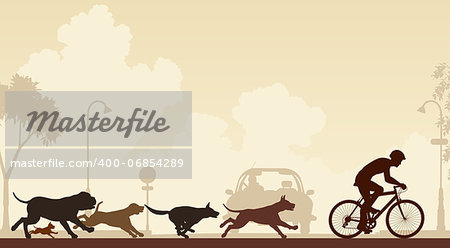 Editable vector illustration of dogs chasing a cyclist along a street
