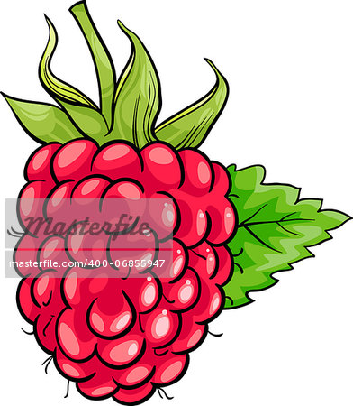 Cartoon Illustration of Raspberry Berry Fruit Food Object