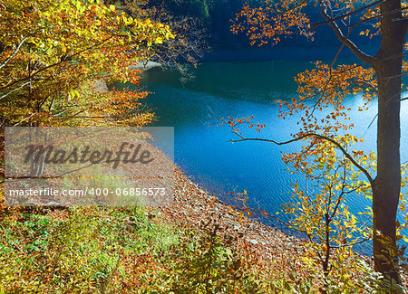 Mountain Synevir lake view through autumn tree twigs