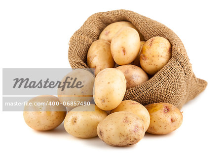 Ripe potatoes in a burlap bag isolated on white background