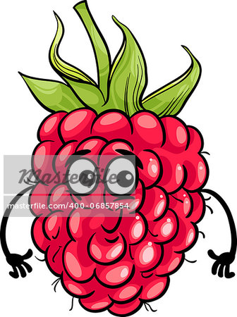 Cartoon Illustration of Funny Raspberry Fruit Food Comic Character