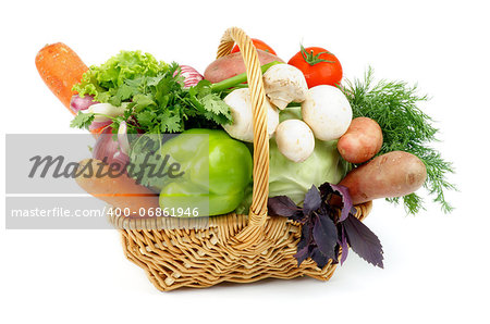 Basket of Various Vegetables with Green Bell Pepper, Carrots, Lettuce, Onions, Garlic, Parsley, Potato, Tomatoes, Cabbage, Dill, Basil and Edible Mushrooms isolated on white background