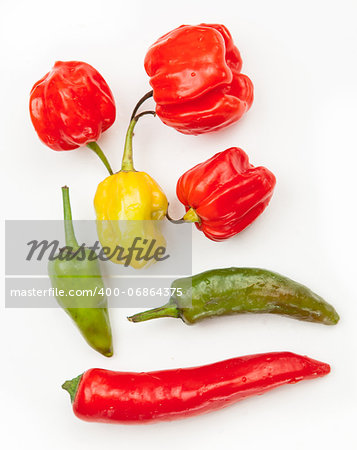 Various hot chillies on white background