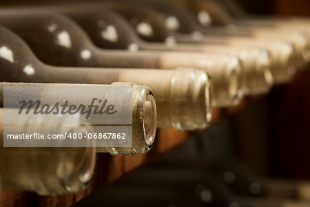 Wine bottles on shelf. Wine cellar. Close up wine bottles.