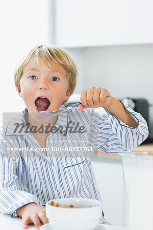 Cute boy having cereal for breakfast