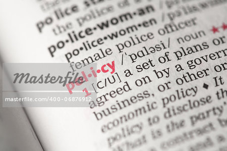 Policy definition in the dictionary