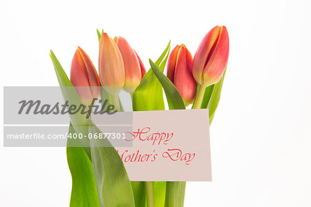 Bouquet of pink and yellow tulips with mothers day message on card on white background