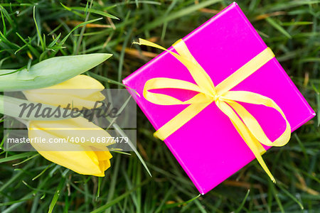 Pink gift box with yellow ribbon and yellow tulips in the grass