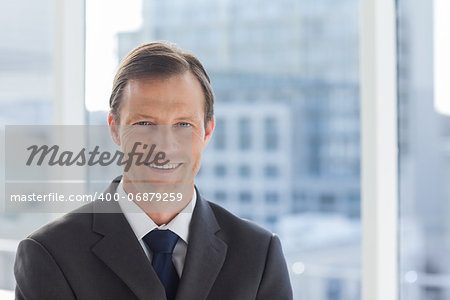 Smiling businessman standing in his office