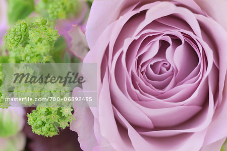 Close-up of a rose in a mixed flower bouquet