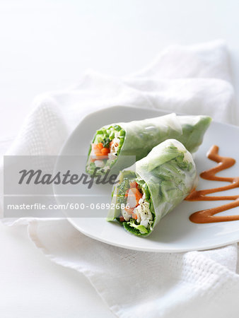 Chicken and Shrimp Spring Roll with Carrots, Mint and Broccoli Appetizer, Studio Shot