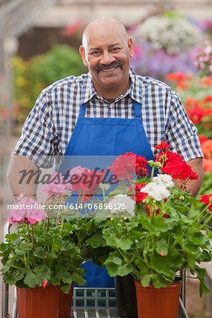 Mature gardener working in garden centre, smiling