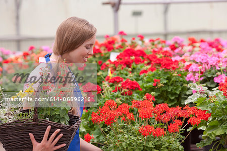 Mid adult woman carrying flowers in garden centre