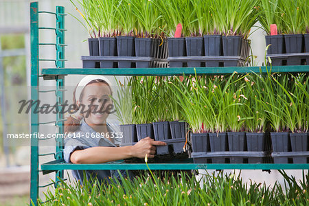 Young sales assistant arranging shelves of plants in garden centre