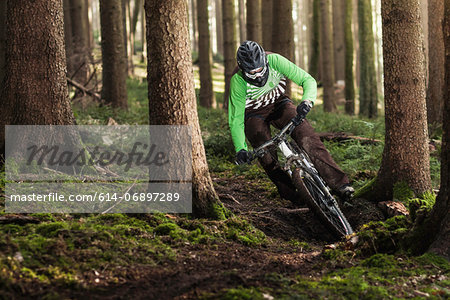 Mountain biker riding through trees