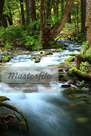 River in Chubu-Sangaku National Park, Nagano Prefecture