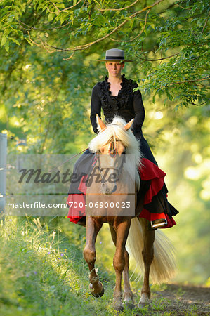Woman riding a Connemara stallion through wooded area, Germany