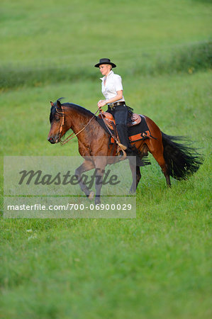Young woman riding a Connemara stallion on a meadow, Germany