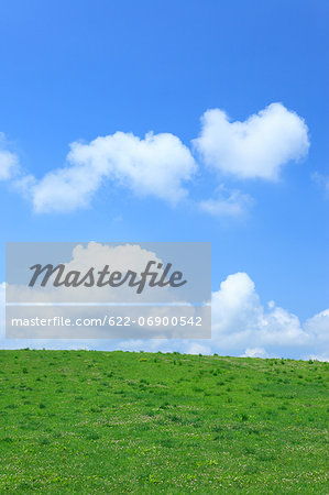 Grassland and sky with clouds, Hokkaido