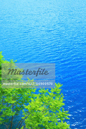 Green leaves and lake, Akita Prefecture