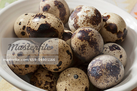Bowl of Fresh Quail Eggs