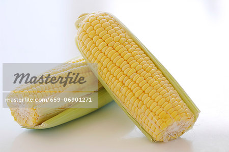 Two cobs of corn