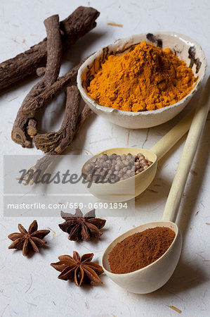 A Variety of Spices, Fresh, Whole and Ground