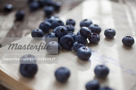 Blueberries on a sheet of paper covered in writing