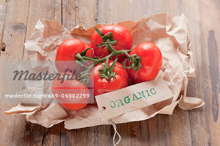 Fresh, organic tomatoes on paper