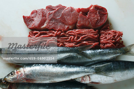 Still life with fish and fish meat