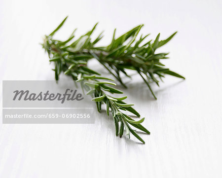 A sprig of rosemary