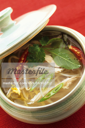 Chicken soup with noodles (Asia) Chicken soup with noodles (Asia)