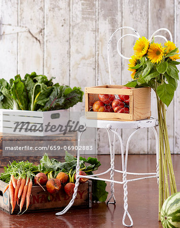 Organic Vegetables with Sunflowers