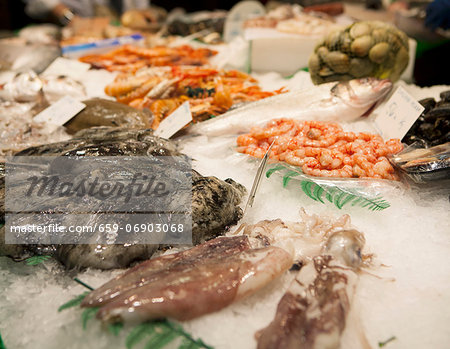 Assorted Fresh Seafood on Ice at a Fish Market in Barcelona Spain