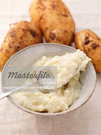 Mashed potato and fresh potatoes