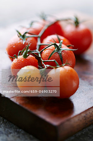 Tomatoes on the vine on a wet wooden board Tomatoes on the vine on a wet wooden board