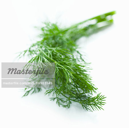 Sprigs of dill