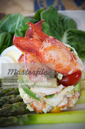 Maine Lobster, Tomato and Avocado Salad on Asparagus Spears Maine Lobster, Tomato and Avocado Salad on Asparagus Spears