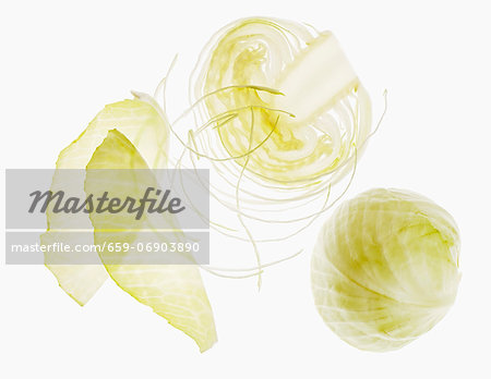 A white cabbage, partly sliced A white cabbage, partly sliced
