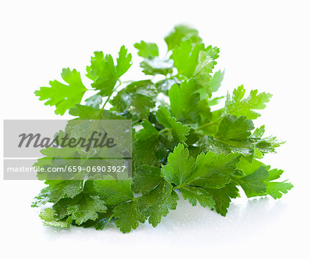 A bunch of parsley (no background)