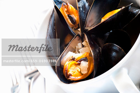 Mussels in wine