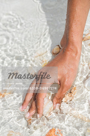 Woman picking seashell on the beach