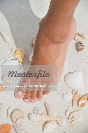 Woman's foot in water with seashell on the beach