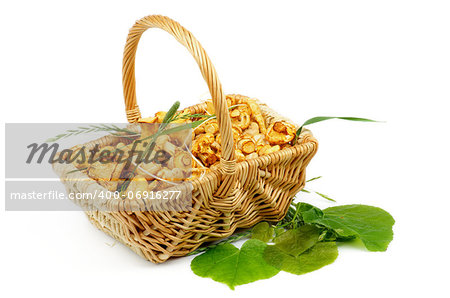 Perfect Raw Little Chanterelles in Basket isolated on white background