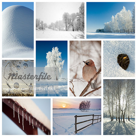 Winter collage representing various season-related nature scenics