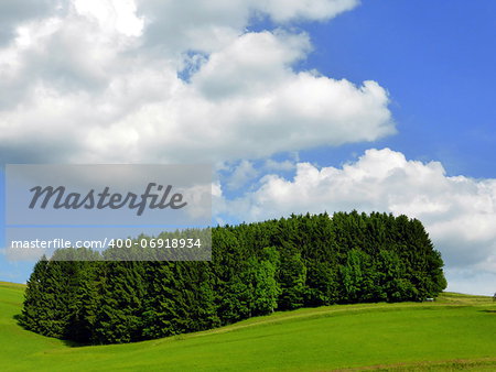 Green grass farmland, a piece of forest and summer blue sky composing a landscape typical of the Hansbergland region in Upper Austria Green grass farmland, a piece of forest and summer blue sky composing a landscape typical of the Hansbergland region in Upper Austria