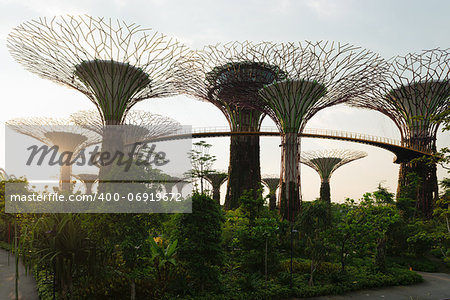 Silhouette of artificial supertree grove as a vertical gardens at Gardens by the Bay, Singapore.