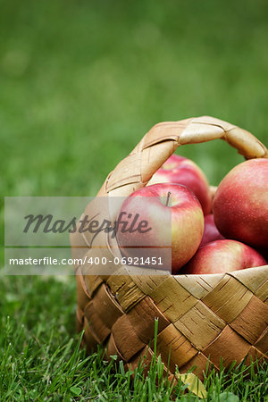 wicker basket full of gala apples, on fresh grass