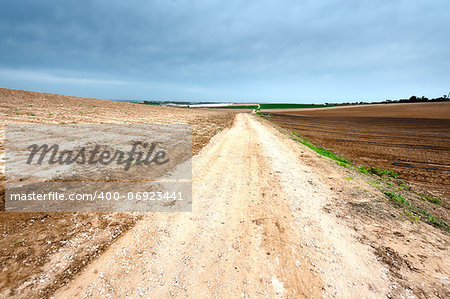 Dirt Road between Plowed Fields in Israel, Spring