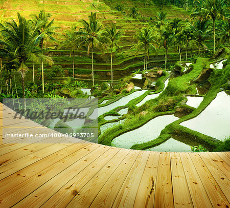 Wooden platform beside terrace rice fields in morning sunrise, Ubud, Bali, Indonesia